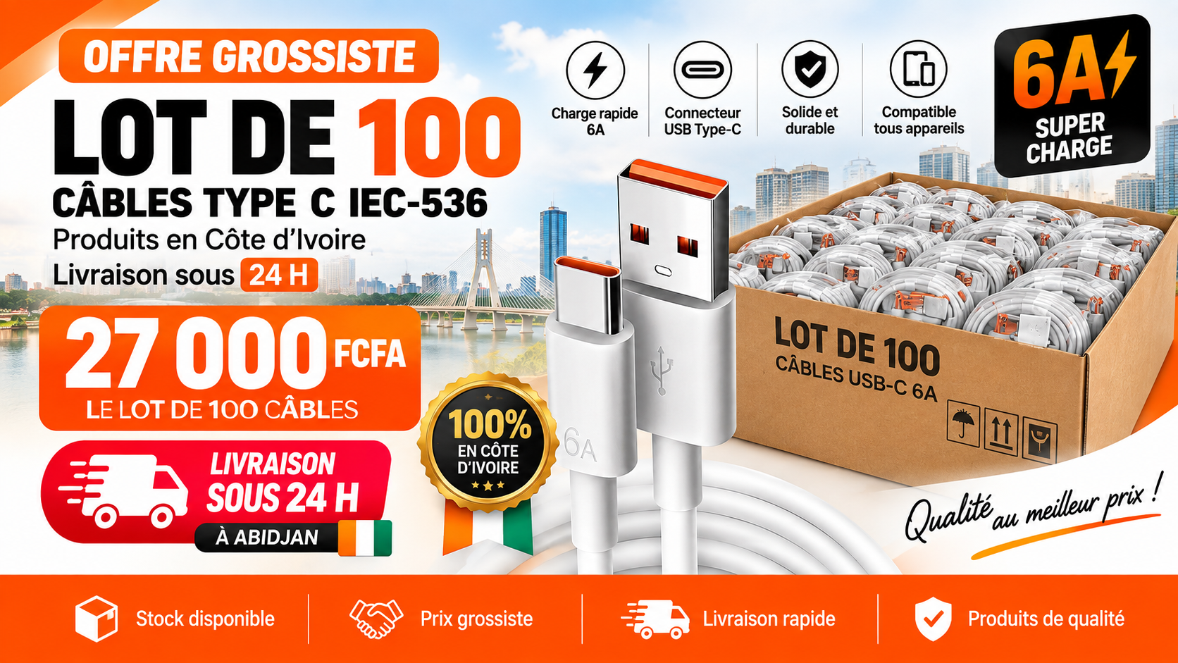 Offre grossiste : lot de 100 câbles Type C IEC-536 à 27 000 FCFA, livraison sous 24h à Abidjan